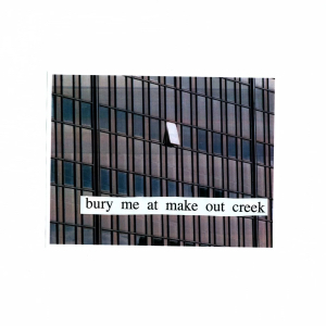 Bury Me at Makeout Creek by Mitski